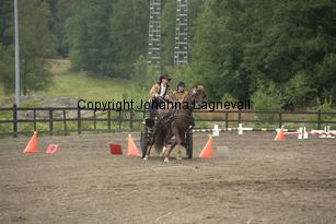 lyckangecoppercoin_9359.jpg