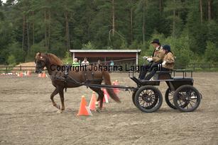 lyckangecoppercoin_9360.jpg