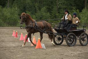 lyckangecoppercoin_9367.jpg