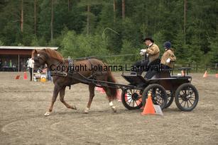 lyckangecoppercoin_9368.jpg
