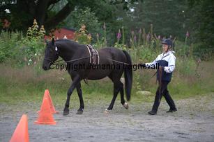 falkasartur_9311.jpg