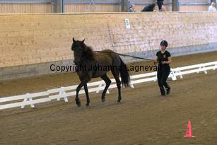 goldgetkitty_6440.jpg