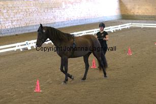 goldgetkitty_6443.jpg