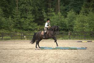 hagasalicewilder_9587.jpg