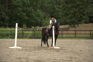 hagasalicewilder_9589.jpg