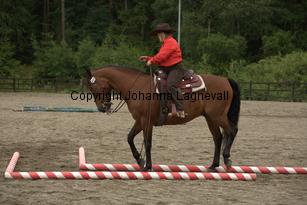 nasuddensuntouchable_9635.jpg