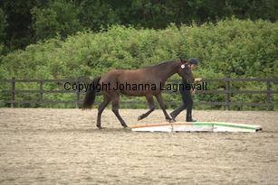 goldgetkitty_9779.jpg