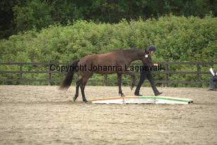 goldgetkitty_9780.jpg