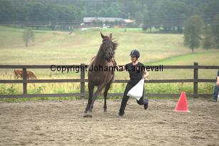 goldgetkitty_9808.jpg