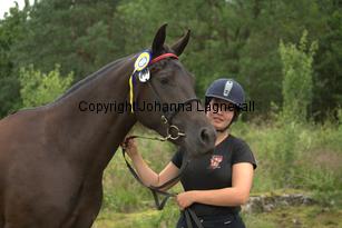 goldgetkitty_9815.jpg