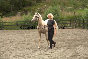 justinisabella_9747.jpg