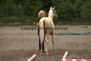 justinisabella_9749.jpg
