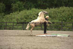 justinisabella_9755.jpg