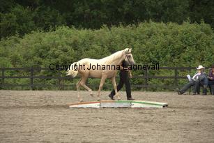 justinisabella_9760.jpg