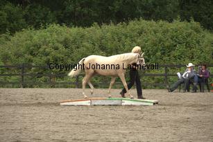 justinisabella_9761.jpg