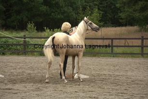 justinisabella_9766.jpg