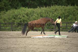 nasuddensheartbreaker_9659.jpg