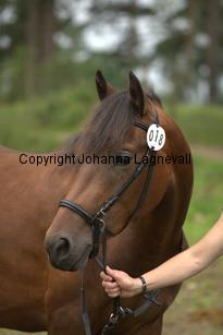 nasuddensidealtouch_9788.jpg