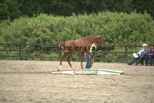 nasuddensjollyheart_9686.jpg