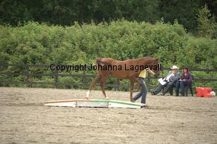 nasuddensjollyheart_9688.jpg