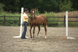 nasuddensjollyheart_9689.jpg