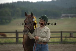 thorellsbumblebee_9805.jpg
