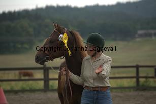 thorellsbumblebee_9806.jpg