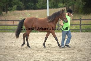 zante_9705.jpg