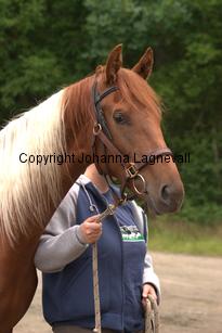 hedensskyspirit_6481.jpg