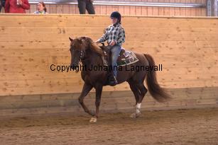 lyckangecoppercoin_6509.jpg