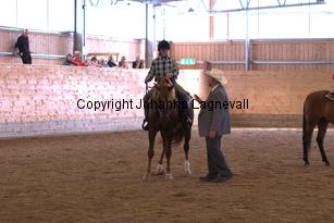 lyckangecoppercoin_6519.jpg