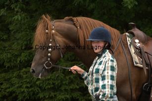 lyckangecoppercoin_9545.jpg