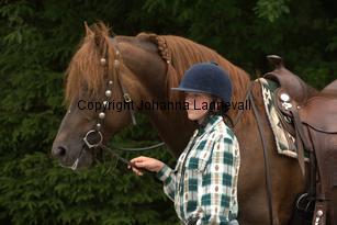 lyckangecoppercoin_9547.jpg