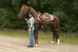 lyckangecoppercoin_9549.jpg