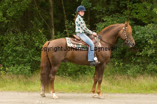 lyckangecoppercoin_western_9531.jpg