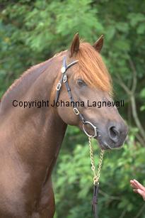 lyckangecoppercoin_0066.jpg