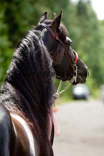 thmftruefaith_0053-2.jpg