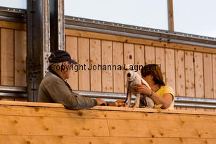 ovrigt_9288-2.jpg