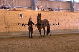 nasuddensidealtouch_6565.jpg