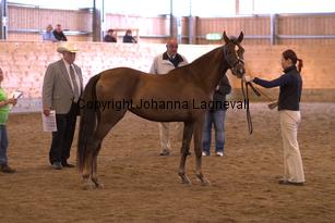 valleyridgesugarnspice_6574.jpg