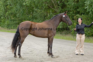 goldgetkitty_9908-2.jpg