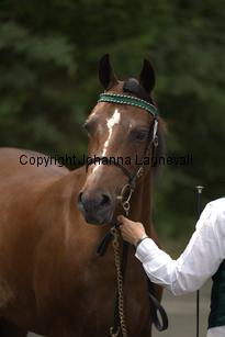 nasuddensheartbreaker_9864.jpg