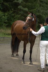 nasuddensheartbreaker_9865.jpg
