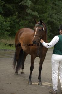 nasuddensheartbreaker_9866.jpg
