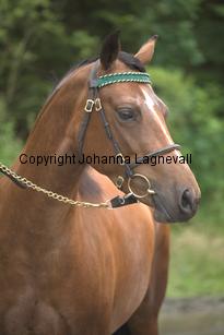 nasuddensheartbreaker_9876.jpg
