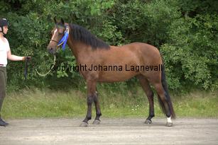 nasuddensheartbreaker_9936.jpg