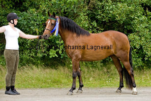 nheartb_9934.jpg