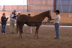 hagascarolineingalls_6610.jpg