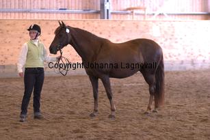 hagasyounglady_6615.jpg