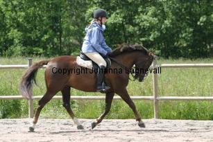 img_117_1743.jpg